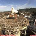 09_45-nest.jpg