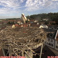 10_20-nest.jpg
