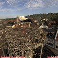 10_30-nest.jpg