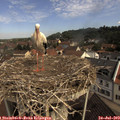 10_35-nest.jpg