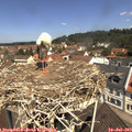 11_30-nest.jpg