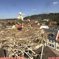 11_40-nest.jpg