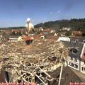 11_45-nest.jpg