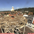 12_05-nest.jpg