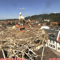 12_15-nest.jpg