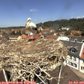12_20-nest.jpg