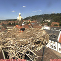 12_55-nest.jpg