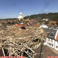 13_00-nest.jpg