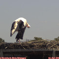13_05-mast.jpg