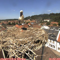 13_05-nest.jpg