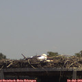 13_20-mast.jpg