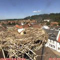 13_20-nest.jpg
