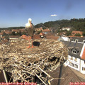 13_25-nest.jpg