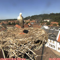 13_35-nest.jpg
