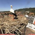 13_45-nest.jpg