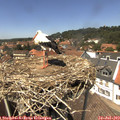 13_55-nest.jpg