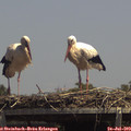 14_05-mast.jpg