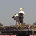 14_20-mast.jpg