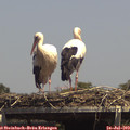 14_30-mast.jpg