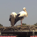 14_35-mast.jpg