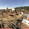 15_05-nest.jpg