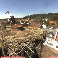 15_30-nest.jpg