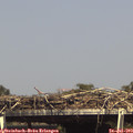 15_35-mast.jpg