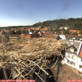 15_40-nest.jpg