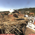 15_45-nest.jpg