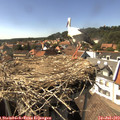 15_50-nest.jpg