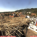 15_55-nest.jpg