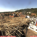 16_00-nest.jpg
