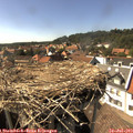 16_05-nest.jpg