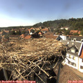 16_20-nest.jpg