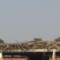16_25-mast.jpg