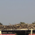 16_35-mast.jpg