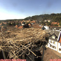 16_35-nest.jpg