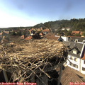 17_05-nest.jpg