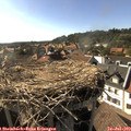 17_20-nest.jpg
