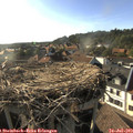 18_20-nest.jpg