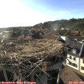 18_30-nest.jpg