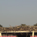 18_35-mast.jpg