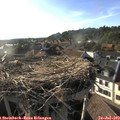 18_40-nest.jpg