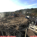 18_50-nest.jpg
