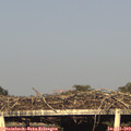 18_55-mast.jpg