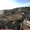 18_55-nest.jpg