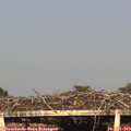 19_10-mast.jpg