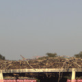 19_15-mast.jpg