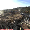 19_15-nest.jpg