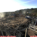 19_25-nest.jpg